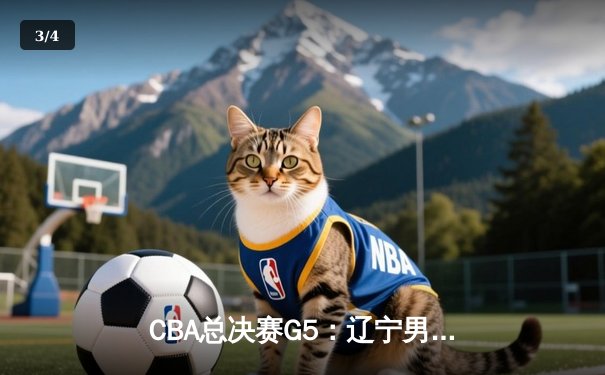 CBA总决赛G5：辽宁男篮加时险胜广东 赵继伟关键三分锁定卫冕 - 3